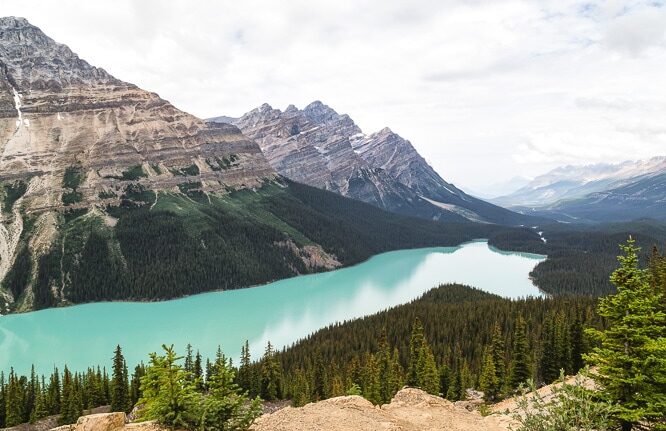 Canadian Rocky Mountains, a clear lake, and wilderness protected by CPAWS, our January Giving Clinic partner.
